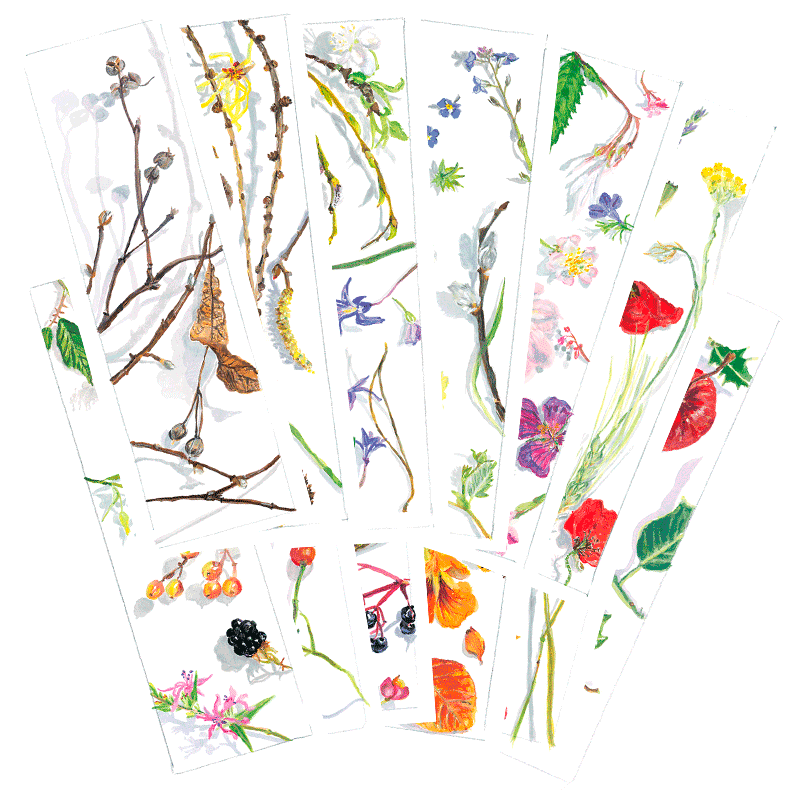 Lesezeichen Set, Buchzeichen, Kunstkarte mit floralem Motiv als 12er-Set von Regula Schenk